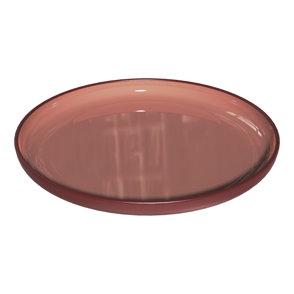 rPET Tableware- 10.8 in. shallow plate